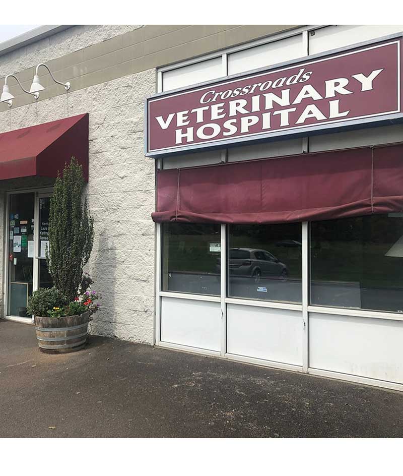 Newberg best sale veterinary clinic